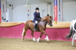 SBM_24913