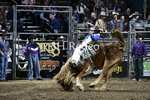 Tucker Curracato_DSC2291