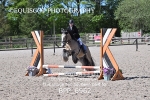 BPP_6962