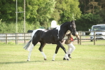 SBM_10522