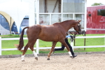 SBM_03920