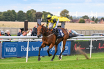 160926-Race 8-Evelyns Phoenix-2206