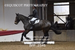 BPP_2546