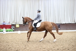 SBM_019628