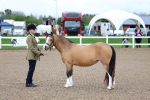 SBM_00241