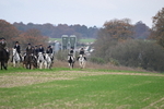 WJ6_9143