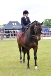 SBM_02971