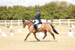 SBM_009886