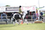 SBM_11180