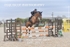 BPP_3927