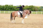 SBM_005998