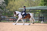 WJ6_6803