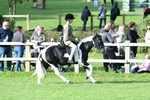 SBM_51966