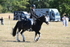 WJ6_8203