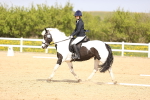 SBM_007859