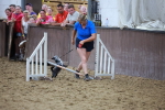 SBM_004545