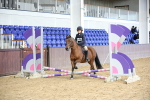 SBM_000600