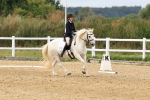 SBM_000173