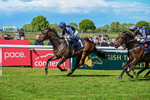 120526-Race 3-Merlier-7819