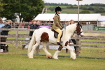 SBM_06114