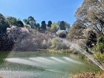Cheerio Gardens Sept 2022