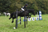 ESK_0453