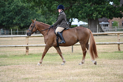 WJ6_3768