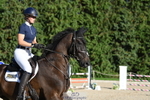 Cls 11 Snr Fox portfolio
