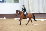Dressage - 19-4-26 portfolio