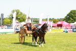 SBM_06659