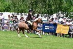 SBM_07958