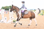 BPP_0464