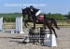 BPP_7963