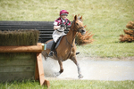 BVHT 140517  IXC -163
