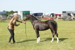 SBM_00789
