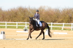 SBM_003595