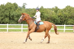 SBM_002985