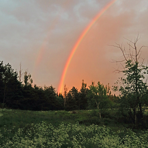 At sundown, a double rainbow materializes and enlightens a wildflower meadow.