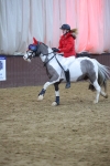 SBM_003905