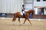 Indoor Arena - 21-6-26 portfolio