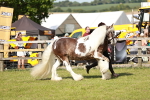 SBM_08779