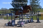 BPP_3293