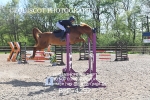 BPP_4292