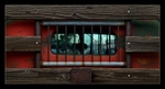 Rear Window