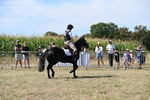 WJ6_8327