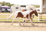SBM_15361