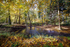 Autumn Stream Blue