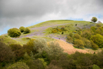 Paulith Bank