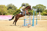SBM_003071