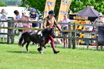 SBM_03654